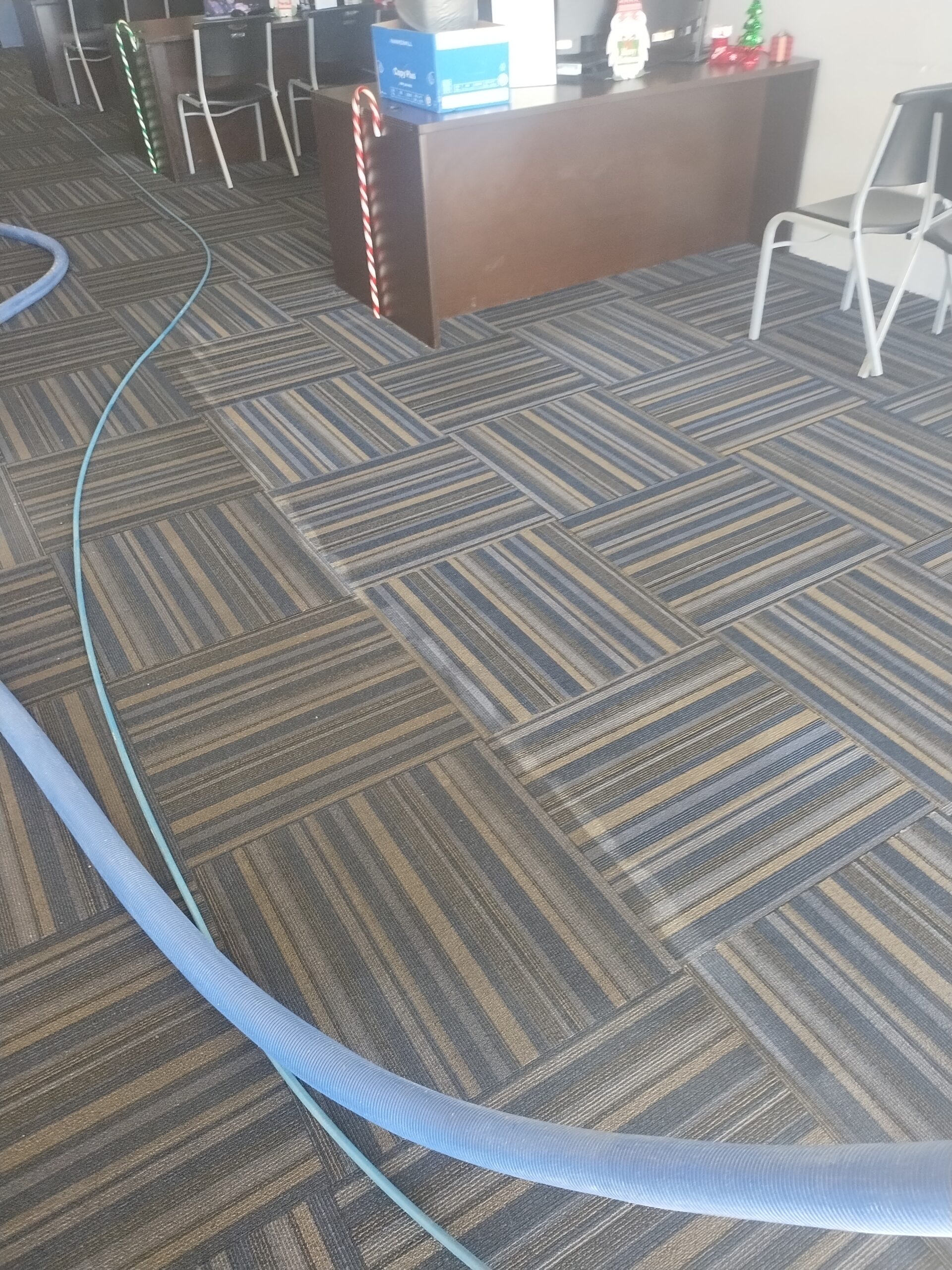 IMG_20241219_120904860_MP