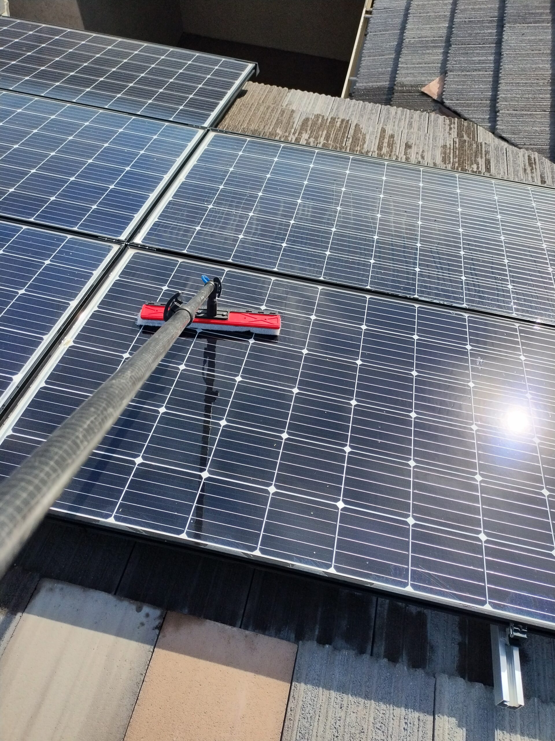 IMG_20231130_095643647_HDR